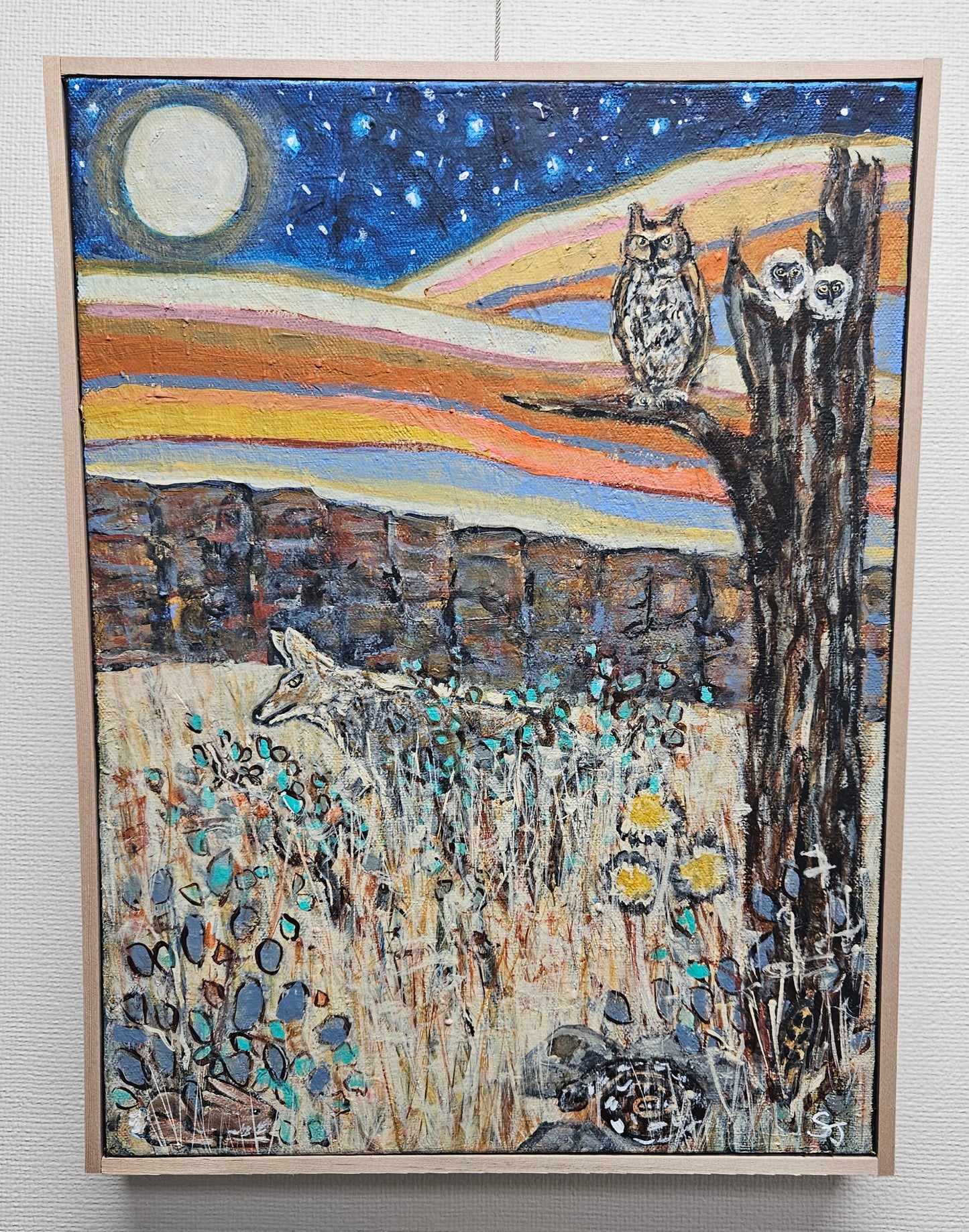 Coyote Dreams